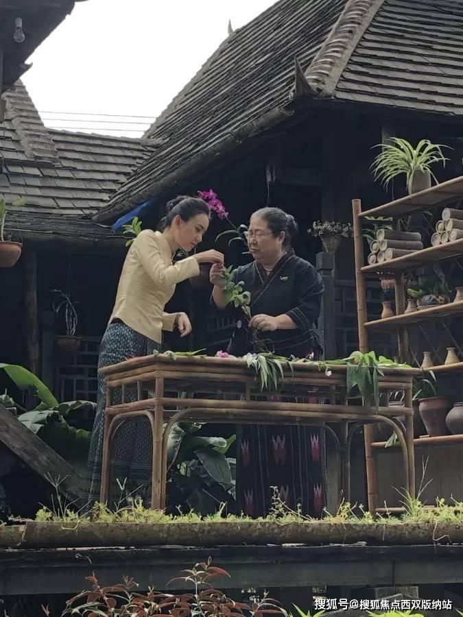 妙鸭相机app下载官网