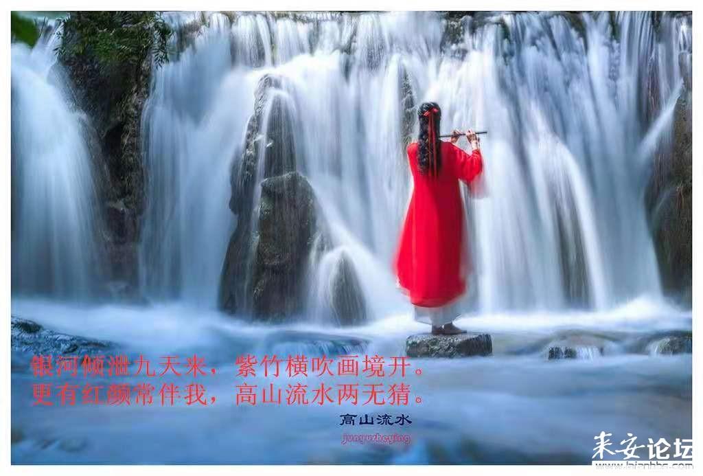 春雨直播app